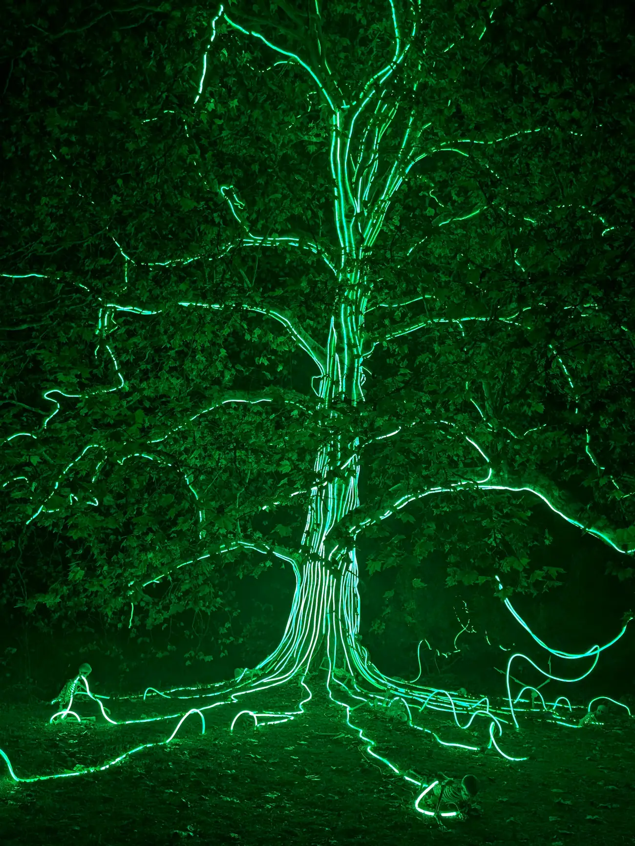 Glowing green tree illuminated at night, symbolising energy, vitality, and the spirit of Halloween.